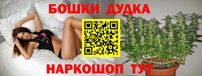прущие крисы Кингисепп