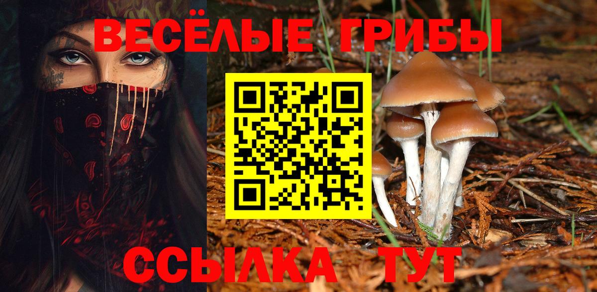 Галлюциногенные грибы Psilocybine cubensis  Вход с VPN  Галлюциногенные грибы мухоморы  Красноармейск 