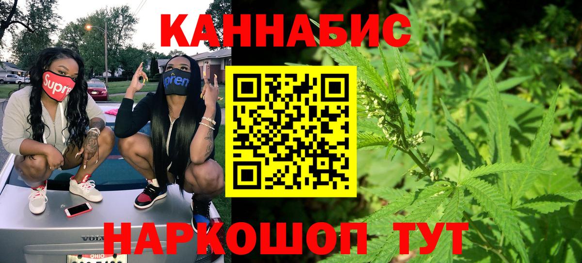 Бошки Шишки семена Красноармейск